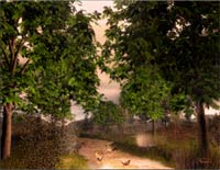 After the rain...