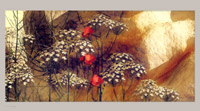 Desert in Bloom