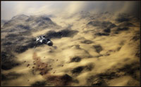 desolation