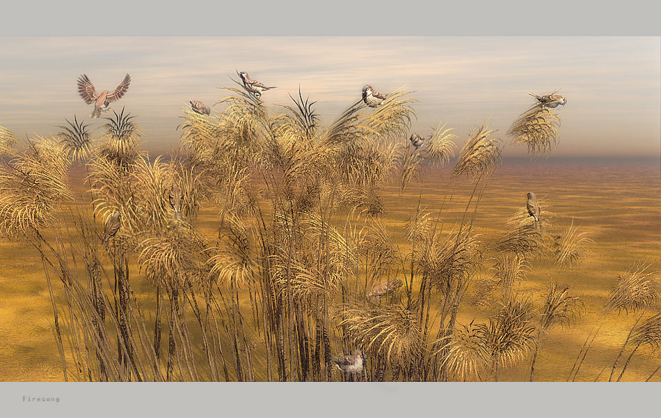 sparrows rest