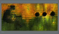 sunflower rains