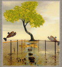 The Narrow Path
