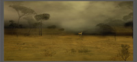 seeking shelter in the wide spaces