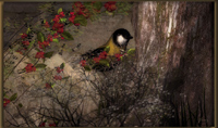 I heard the branches sing...