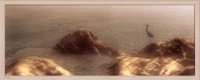 Eventide